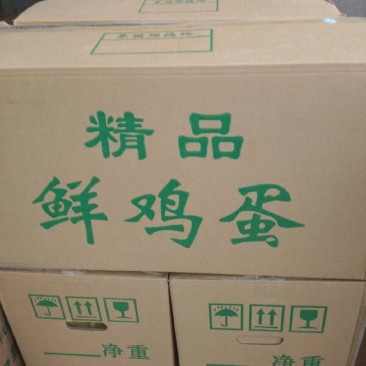 鲜鸡蛋