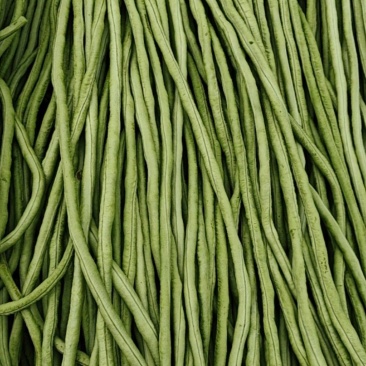 新鲜长豆角豇豆农家当季蔬菜角豆姜豆脆嫩挂长豆角现摘批发