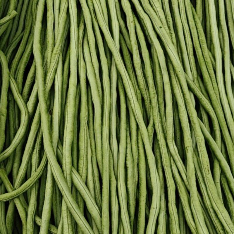 新鲜长豆角豇豆农家当季蔬菜角豆姜豆脆嫩挂长豆角现摘批发