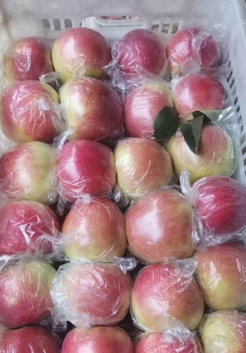 美八苹果口感脆甜色泽鲜艳个头均匀保质保量货源充足