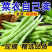 四季豆产地一手货源支持视频看货