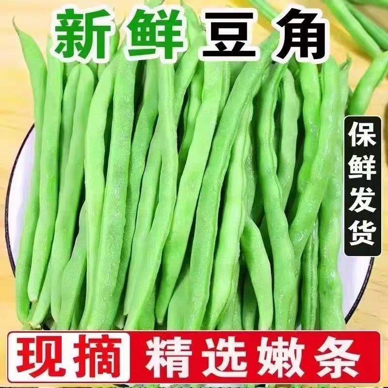 四季豆产地一手货源支持视频看货