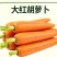 精品大红胡萝卜