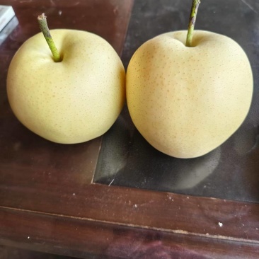 皇冠梨一级精品果，需要的老板电联