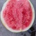 【热卖】湖北无籽美都西瓜清甜可口价格美丽质量好对接全国