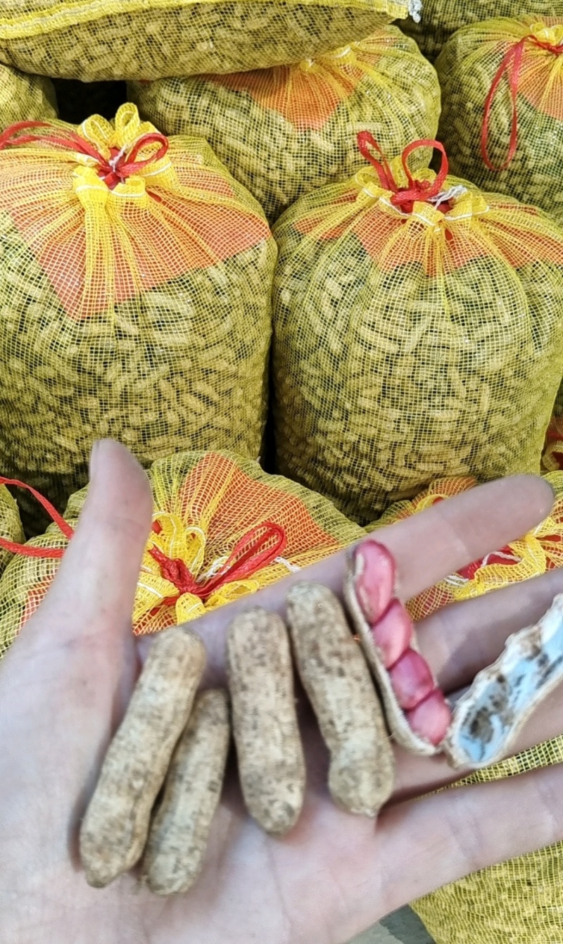 湖北老河口鲜花生四粒红花生产地一手货源量大从优
