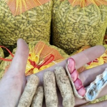 湖北老河口鲜花生四粒红花生产地一手货源量大从优
