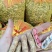 湖北老河口鲜花生四粒红花生产地一手货源量大从优