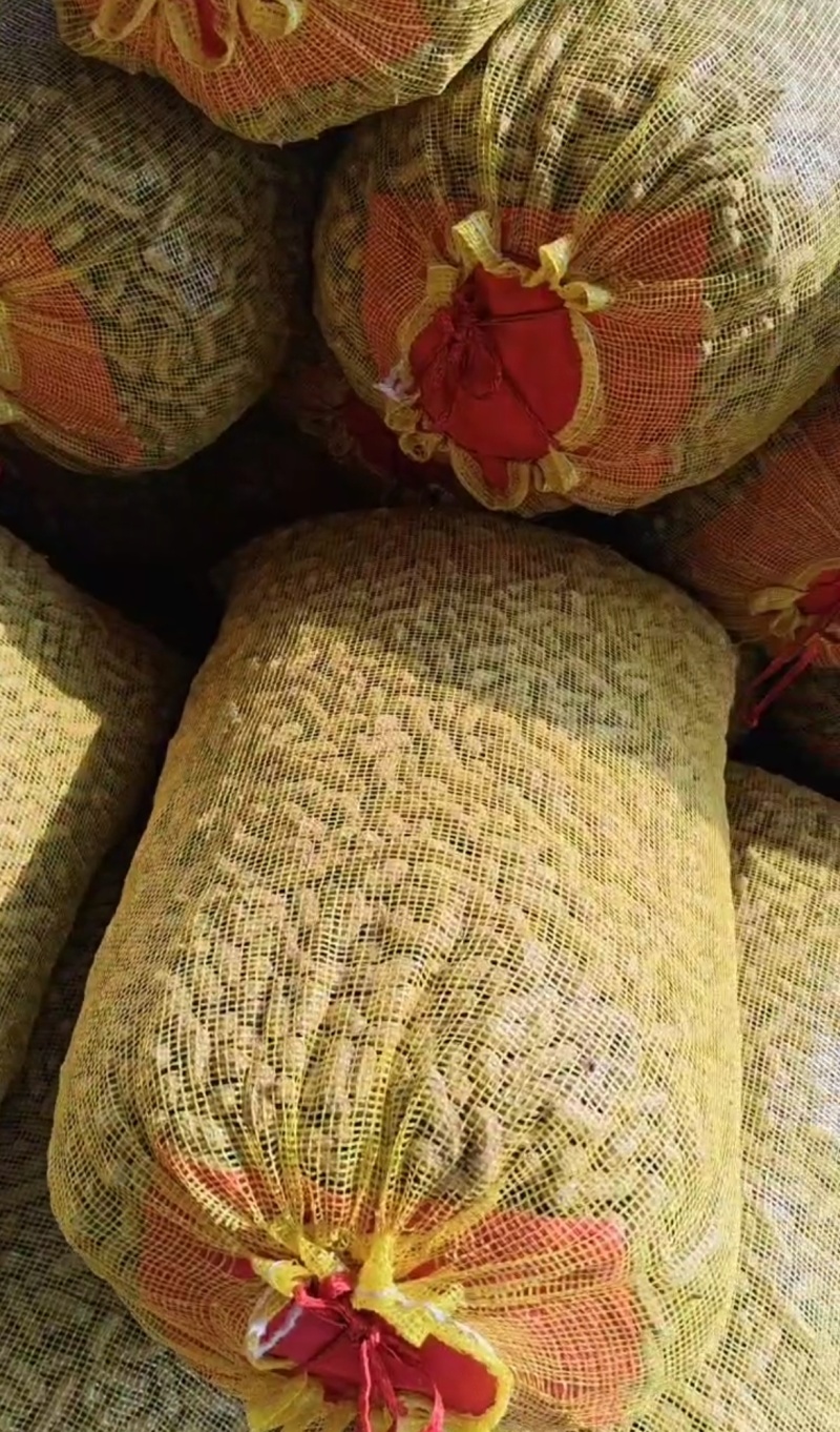 湖北老河口鲜花生四粒红花生产地一手货源量大从优