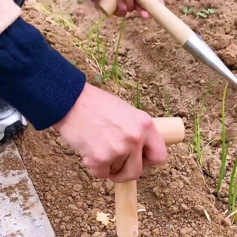 播种移苗追肥神器不锈钢木柄打洞器育苗播籽器花园多肉种苗打