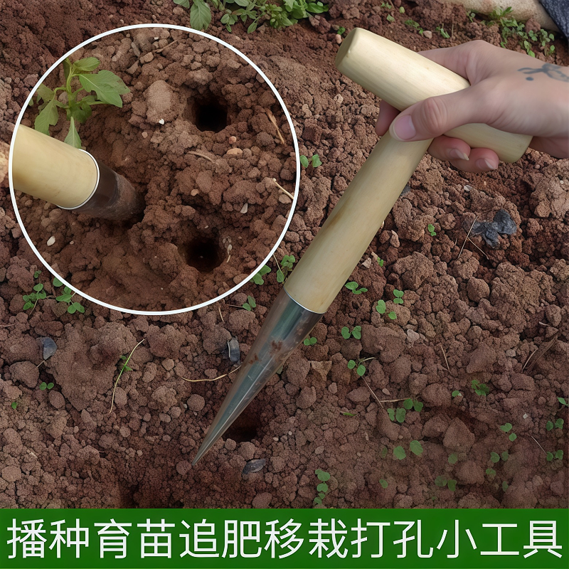 播种移苗追肥神器不锈钢木柄打洞器育苗播籽器花园多肉种苗打