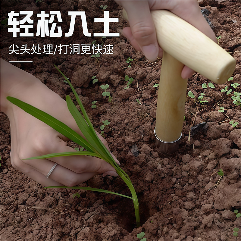 播种移苗追肥神器不锈钢木柄打洞器育苗播籽器花园多肉种苗打