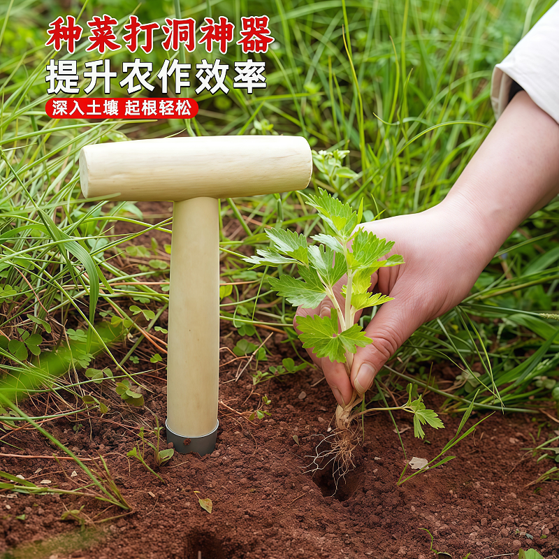 播种移苗追肥神器不锈钢木柄打洞器育苗播籽器花园多肉种苗打