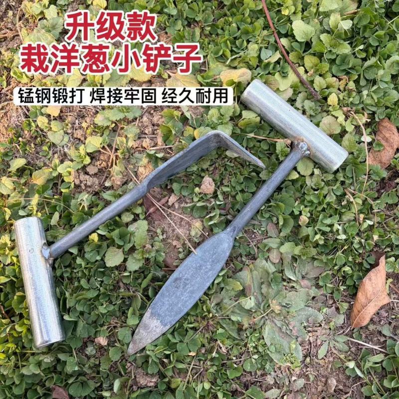 新款种洋葱小铲子栽洋葱苗铲子农用种圆葱栽圆葱工具一体成型
