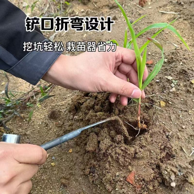 新款种洋葱小铲子栽洋葱苗铲子农用种圆葱栽圆葱工具一体成型