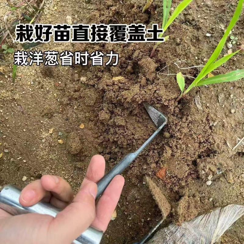 新款种洋葱小铲子栽洋葱苗铲子农用种圆葱栽圆葱工具一体成型