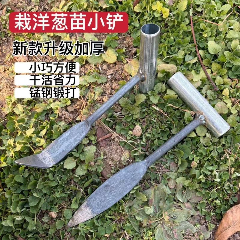 新款种洋葱小铲子栽洋葱苗铲子农用种圆葱栽圆葱工具一体成型