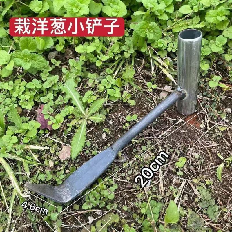 新款种洋葱小铲子栽洋葱苗铲子农用种圆葱栽圆葱工具一体成型