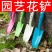 种菜神器锰钢小铲子种花养花种菜工具挖野菜花卉除草挖土怀炉