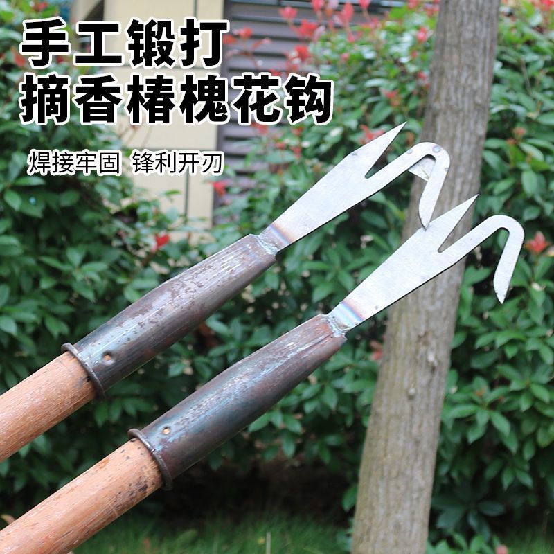 新款采摘钩v型摘果器高空水果采摘神器加厚加硬摘龙眼香椿等