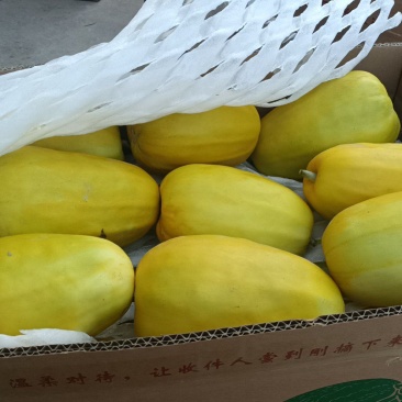 丑八怪