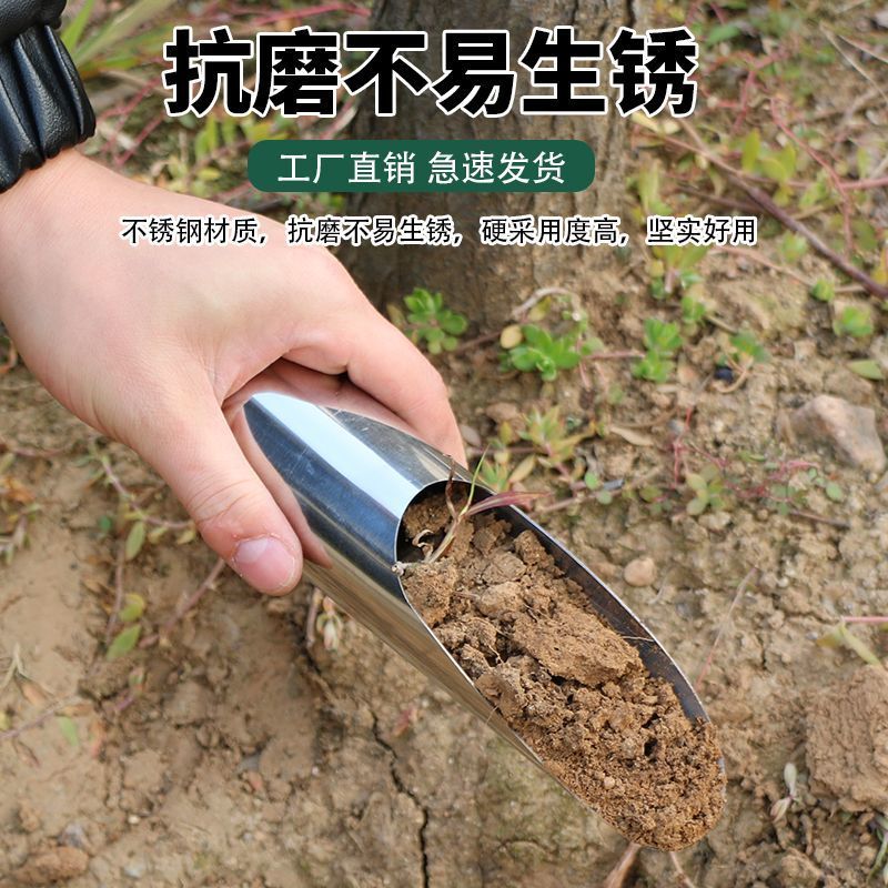 多肉工具不锈钢桶铲子花盆施肥神器种多肉养花种花工具铲园艺