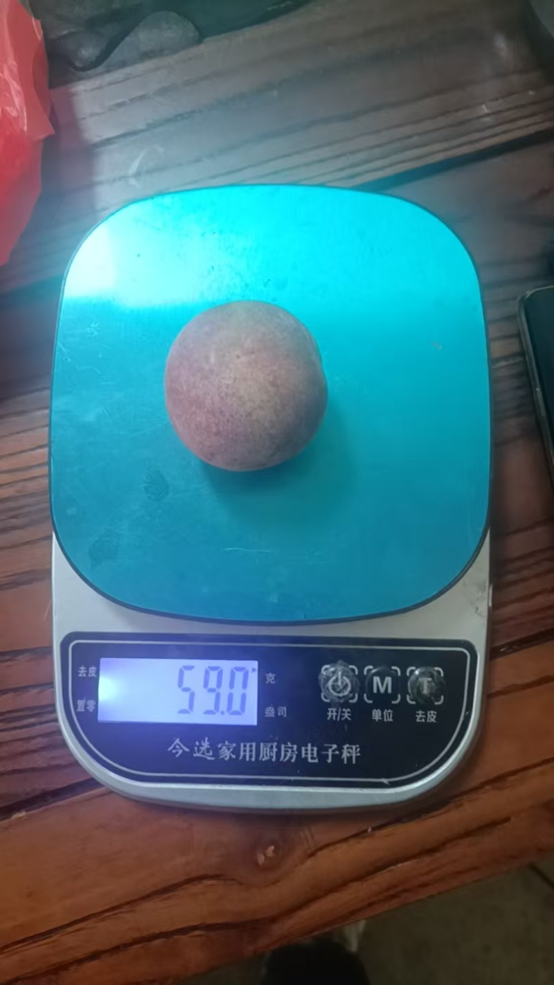 福建芙蓉李，各种规格，电商市场，欢迎合作对接