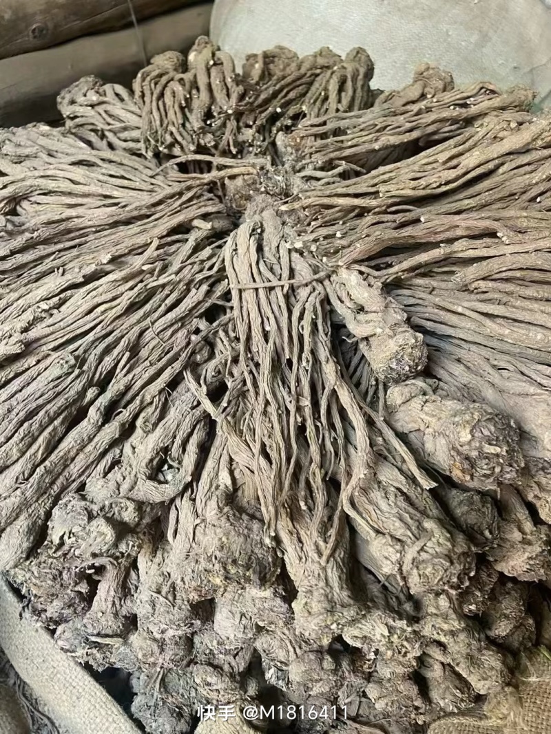 随时可聊正品当归自产自销