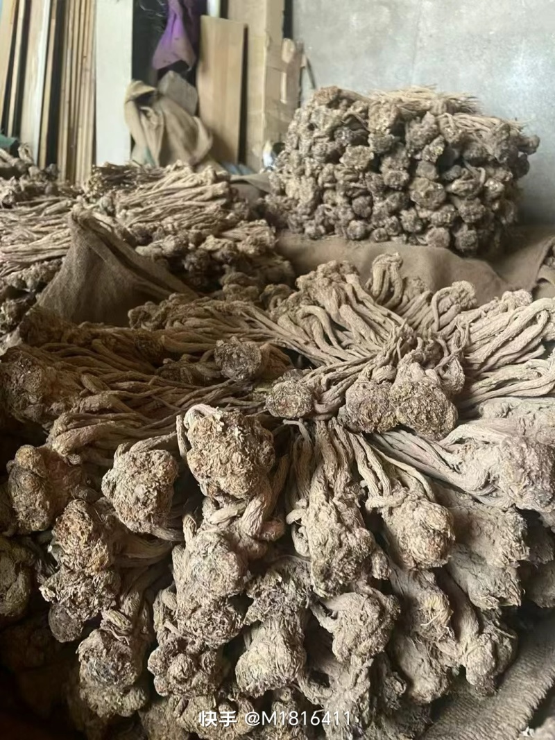 随时可聊正品当归自产自销