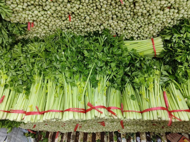 高原夏菜精品五指芹