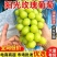 『阳光玫瑰葡萄』大颗粒糖分足串行紧实/货量大承接电商批发