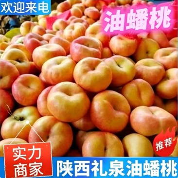 陕西油蟠桃『油蟠7号油蟠9号黄油蟠桃』产地代发全国
