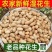 2026鲜花生带壳湿花生当季大花生农家自种现挖现发可水煮