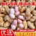 2026鲜花生带壳湿花生当季大花生农家自种现挖现发可水煮