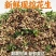 2026鲜花生带壳湿花生当季大花生农家自种现挖现发可水煮