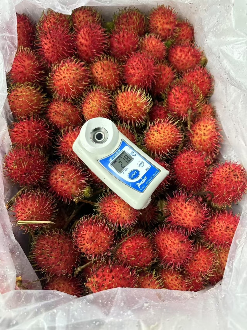 海南红毛丹批发全国发货