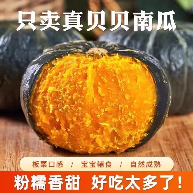 贝贝南瓜一件代发全国发朋友圈真贝贝南瓜