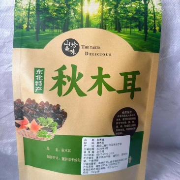 秋木耳