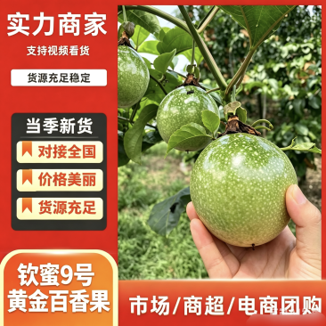 精品百香果,湛江百香果,市场货,电商货,质量全国