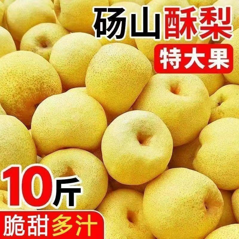 皇冠酥梨日产50万吨随行就市