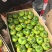 礼品级铁皮西红柿大量上市现摘现发质优价廉物超所值