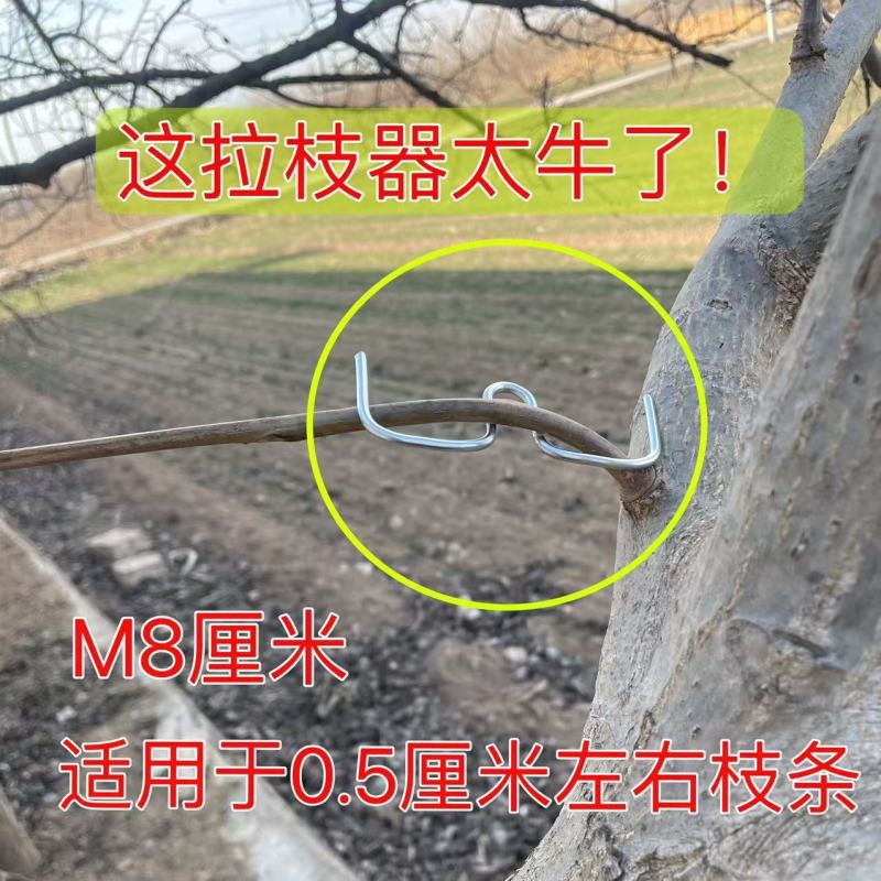 果树拉枝器M型别枝器开角定型压枝弯枝神器园林园艺果园种植