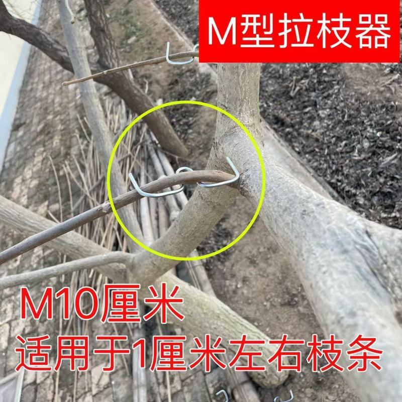 果树拉枝器M型别枝器开角定型压枝弯枝神器园林园艺果园种植