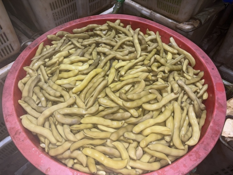 狗爪豆