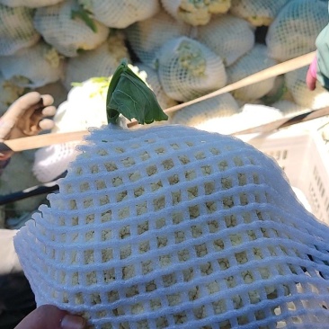 散花