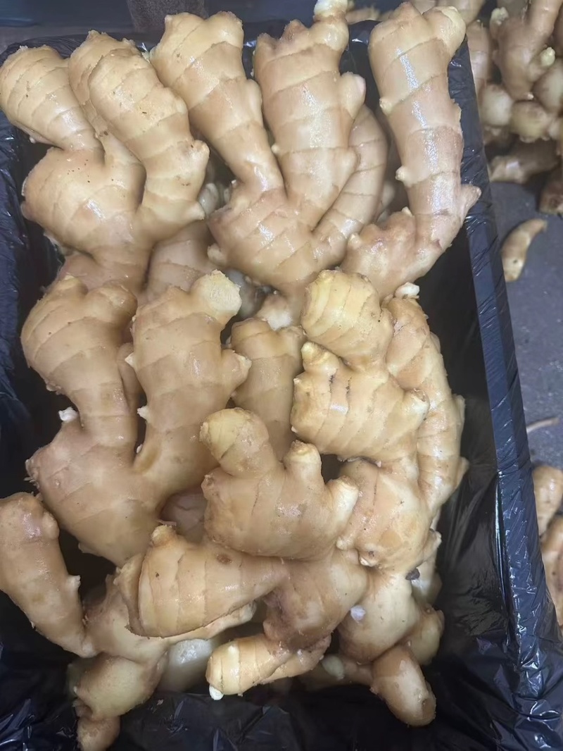 昌邑精品生姜
