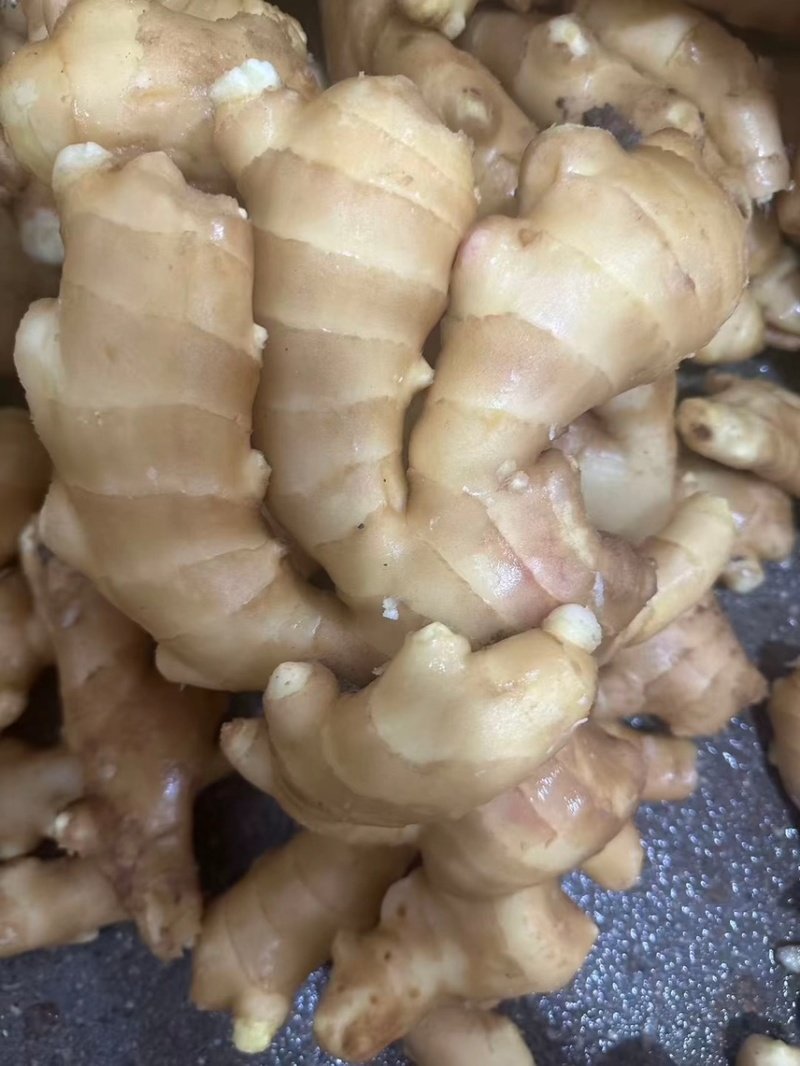 昌邑精品生姜