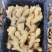 昌邑精品生姜