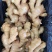昌邑精品生姜