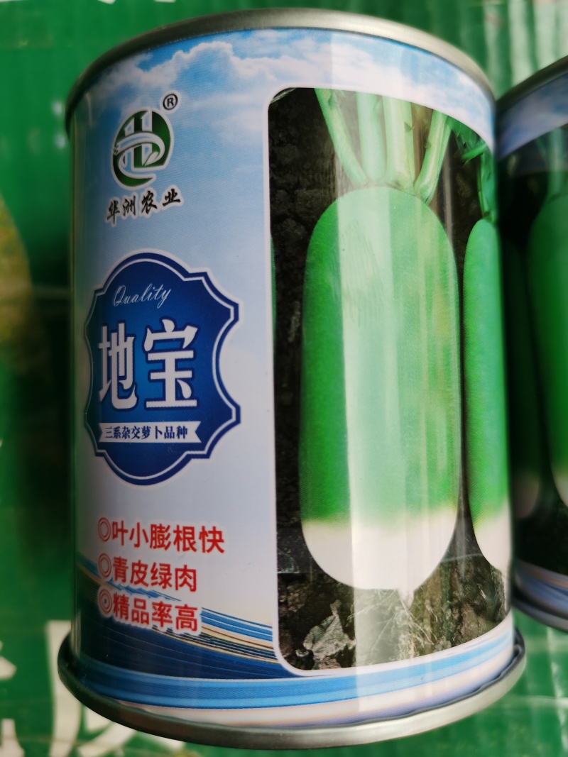 春秋美玉耐热萝卜种子10g/袋地宝豫脆3号萝卜种子